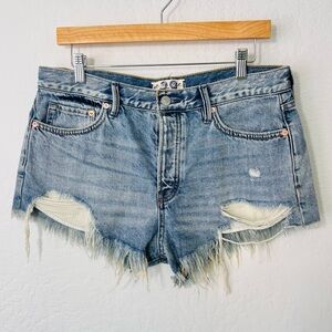 We The Free Free People Cut Off Daisy Duke Shorts 29